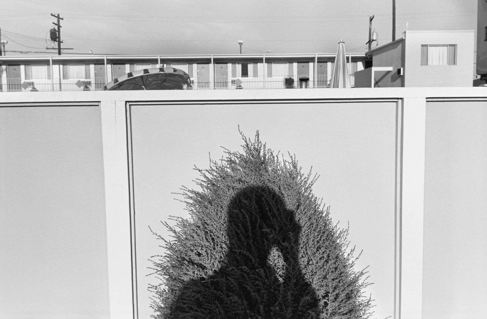 LEE FRIEDLANDER FRAMED BY JOEL COEN — Arte Realizzata